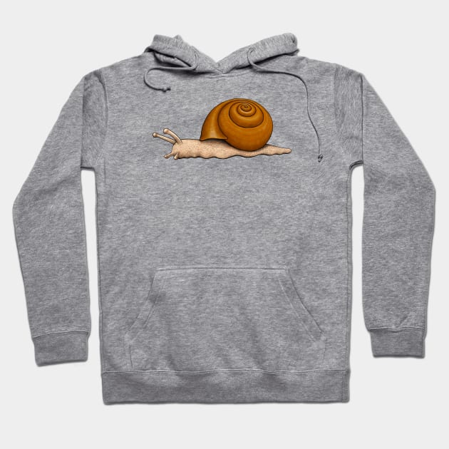 Snail Hoodie by Akman